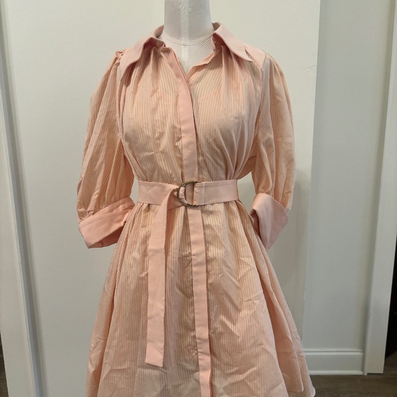Acler shirt dress, pink, pleated, US 2 - Picture 1 of 3